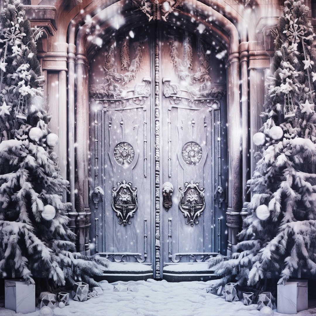 Christmas Castle Door Backdrop